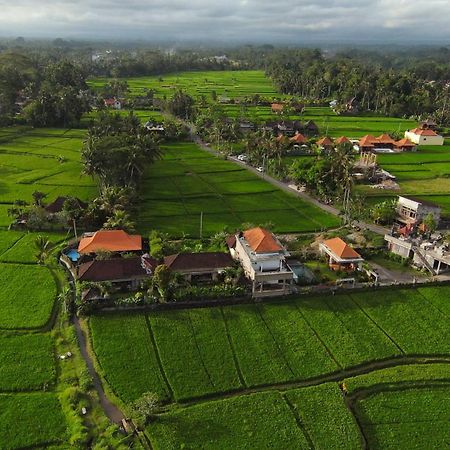 Villa Popolan And Guest House Ubud  Ngoại thất bức ảnh