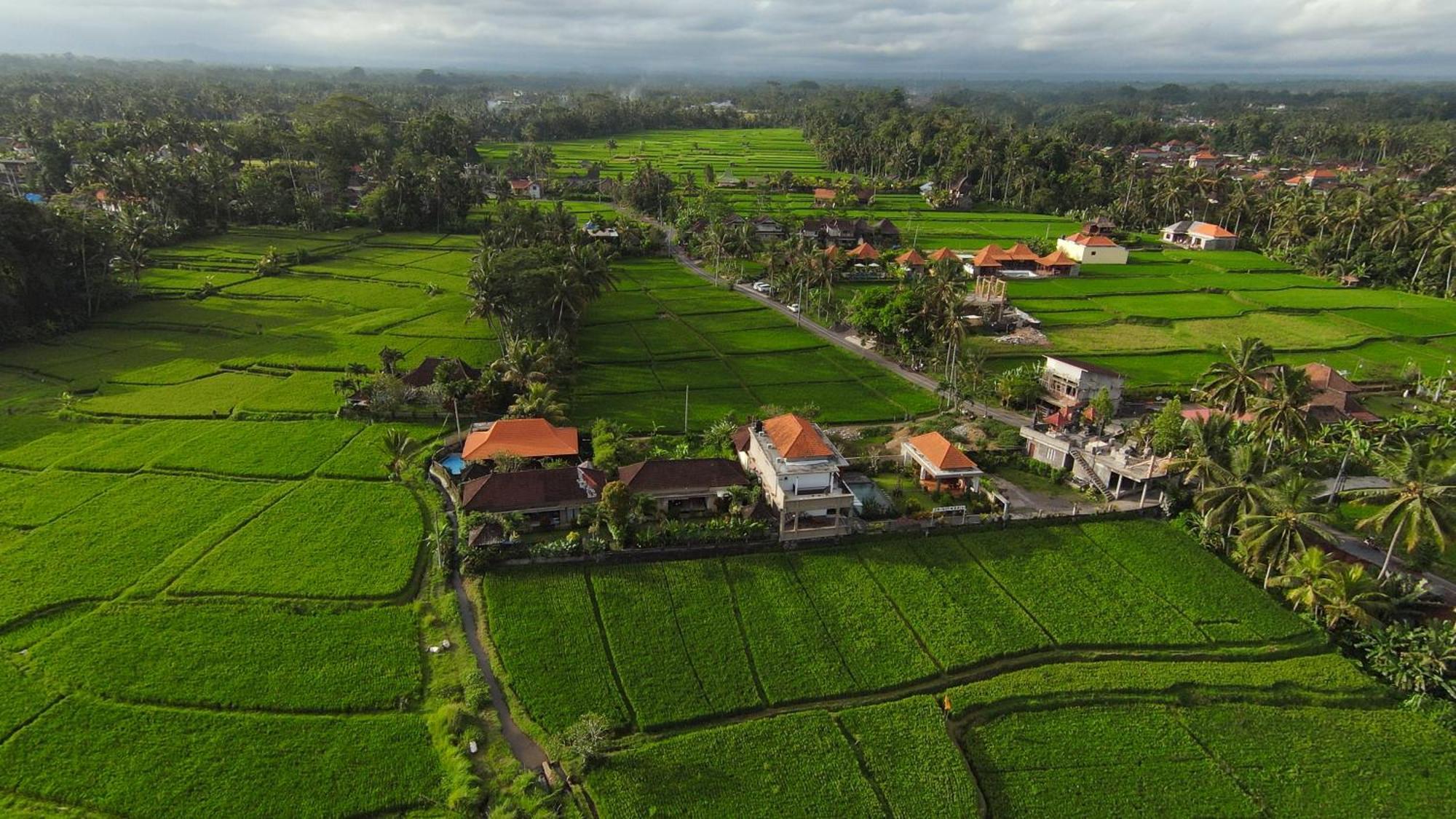 Villa Popolan And Guest House Ubud  Ngoại thất bức ảnh