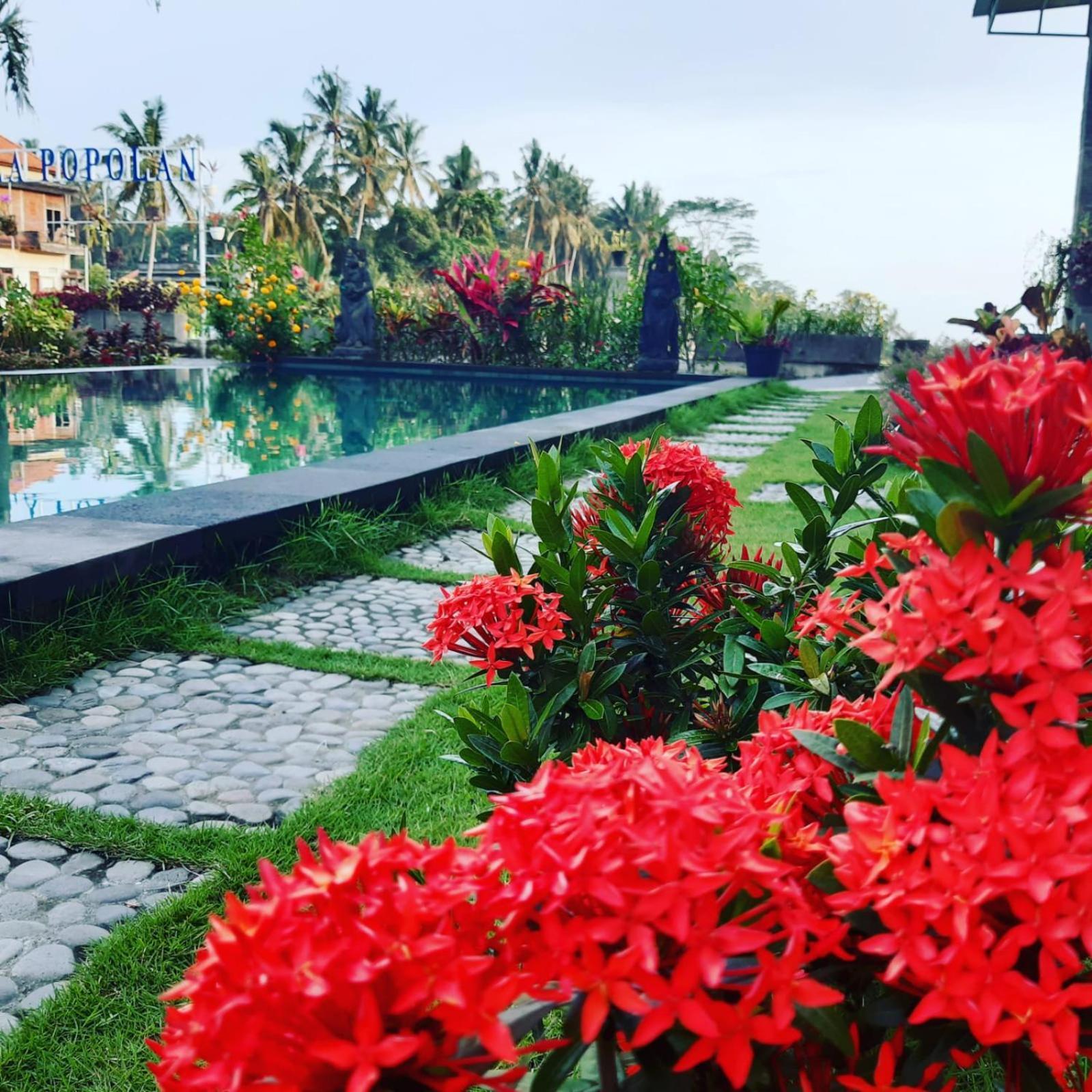 Villa Popolan And Guest House Ubud  Ngoại thất bức ảnh